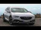 Opel Insignia Country Tourer in Silver