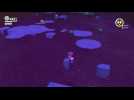 Vid�o Super Mario Odyssey : C�t� Obscur - 05 et 06 - Route invisible