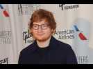 Ed Sheeran's 'strange' cats sit like humans