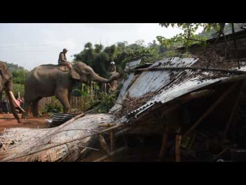 Indian police use elephants to evict illegal settlers