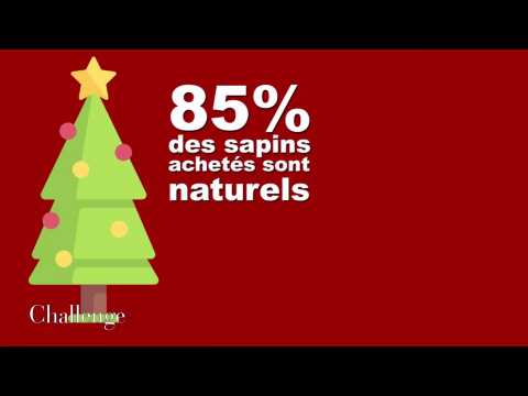 Les chiffres du business du sapin de noël en France