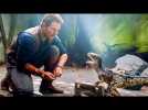 JURASSIC WORLD 2 First Look Trailer ✩ Jeff Goldblum, Chris Pratt Action Movie HD