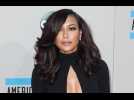 Naya Rivera refiles for divorce