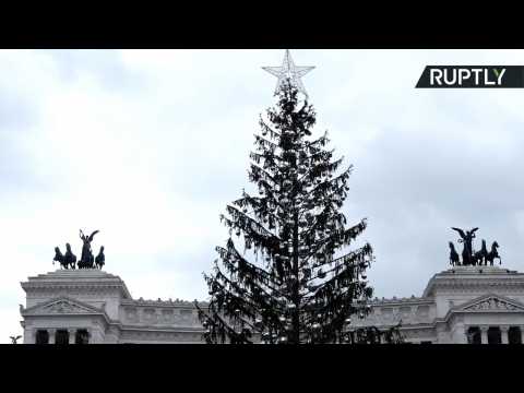 Rome’s $56,000 'Mangy' Christmas Tree Embarrassing for Locals