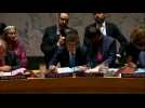 UN Security Council meets on Syria military action