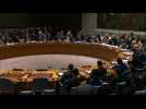 Russia fails to win UN backing to condemn military strikes - Label : AFPTV - First images - Category : News