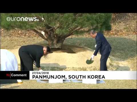 North and South Korean leaders plant tree to commemorate meeting