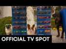  SHOW DOGS  | OFFICIAL "BARKING MAD" TV SPOT