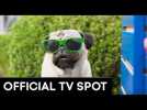 SHOW DOGS | OFFICIAL 20" TV SPOT