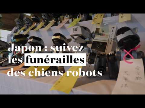 Japon : suivez les funérailles des chiens robots