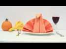 How to Fold a Turkey Napkin