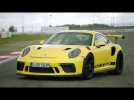 Porsche 911 GT3 RS Racing Yellow Design Preview
