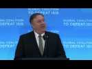 US will still lead fight against IS despite withdrawal: Pompeo