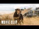 A Dog's Way Home - Go To Work Clip - At Cinemas January 25