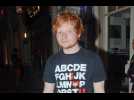 Ed Sheeran: Pop stars are sensible