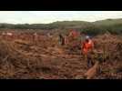 Brazil: rescuers search survivors in the mud after dam collapse