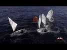 Voile. Optimist : C'est la reprise !