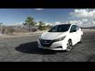 2019 Nissan LEAF e+ - Review Video with Denis Le Vot