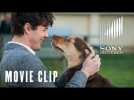 A Dog's Way Home - It Was Love Clip - At Cinemas January 25
