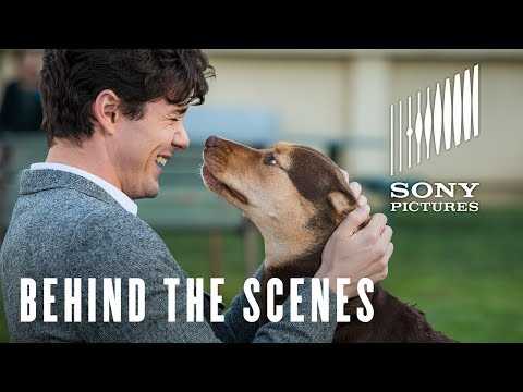 A Dog's Way Home - Finding Bella - At Cinemas January 25