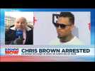 Singer Chris Brown released from custody in Paris