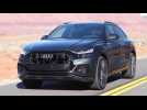 2019 Audi Q8 Driving Video