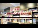 La Biblioth&eacute;rapie : rencontre avec Guy Birenbaum - Label : Marie France - Category : Féminin