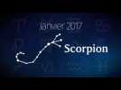 Scorpion : votre horoscope du mois de janvier 2017 - Label : Marie France - Category : Féminin