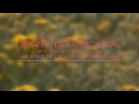 Huile Immortelle de Puressentiel : ses secrets de fabrication