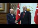 Erdogan meets Turkey nationalist chief after election win - Label : AFPTV - First images - Category : News