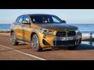 Vidéo BMW X2 2018 : Fils de X4 et X6 Vidéo BMW X2 2018 : Fils de X4 et X6