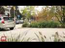 Vidéo Volvo XC90 : Au volant du plus connecté des SUV - Essai vidéo Vidéo Volvo XC90 : Au volant du plus connecté des SUV - Essai vidéo