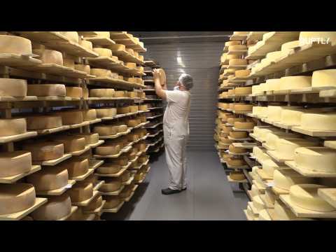 You gotta brie kidding! French WC team orders 400kg of Russian cheese