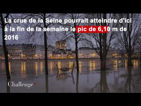 La crue de la Seine perturbe les transports dans Paris