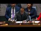 UN holds Security Council meeting on Syria