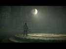 Vido Shadow of the Colossus - Route vers le Colosse 16 Malus