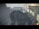 Vido Shadow of the Colossus - Vaincre le Colosse 15 Argus