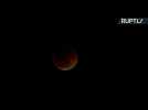 Lunar Trifecta! 'Super Blue Blood Moon' Seen Across the World