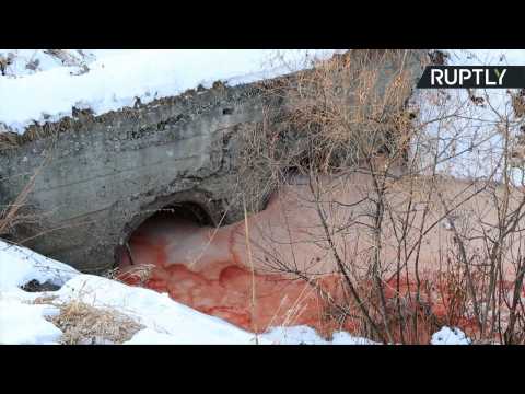 Biblical Plague? 'River of Blood' Suddenly Appears in Siberia