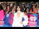 Camila Cabello's 'flirtation-ship with' secret celebrity