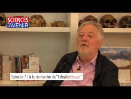 "A la recherche du Tchadantrope" : Yves Coppens se raconte, épisode 7