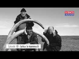 "Jarkov le mammouth" : Yves Coppens se raconte, épisode 10