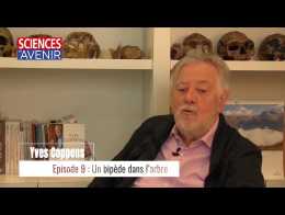 "Une bipède dans les arbres" : Yves Coppens se raconte, épisode 9