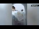 I Want to Break Free! Sakhalin Local Kick His Way Out of Snow-Covered House