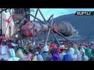 Revellers Fling Ants at One Another in Bizarre Spanish Carnival