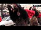 Romanian Villagers Perform Festive Ritual Dance to Make Winter Bearable