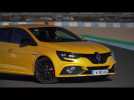 2018 New Renault MEGANE R.S. Cup chassis and manual gearbox Design