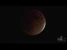 Rare lunar eclipse offers glimpse of 'super blue blood moon'