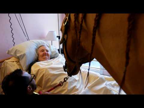 Hôpital : Peyo, ce cheval qui visite les patients jusque dans leur chambre