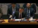 UN Security Council opens formal meeting on Iran protests